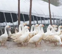 包含溳#W燚J6pB鬭鈪-开云体育入口
